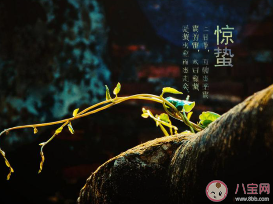 又是一年惊蛰节气的问候语短句 惊蛰节气到了的朋友圈简短句子