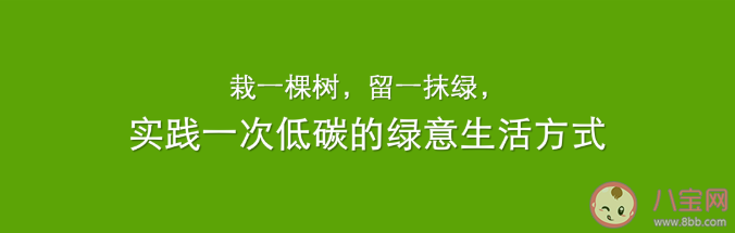2021幼儿园小班植树节活动教案范文 植树节主题活动方案两篇