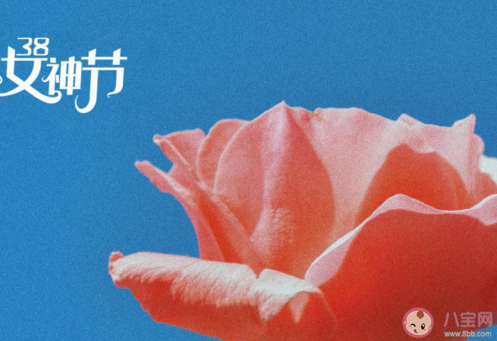 2021妇女节给老婆的感谢语情话说说 2021三八妇女节送老婆的祝福语句子