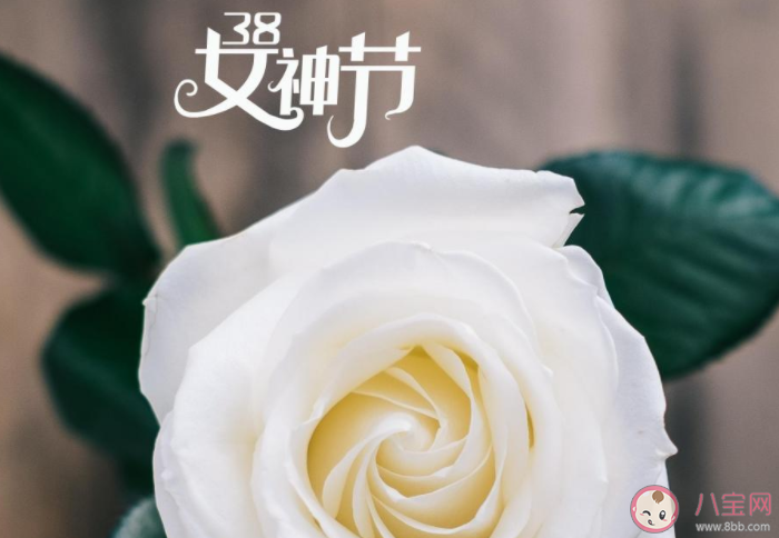 2021妇女节给老婆的感谢语情话说说 2021三八妇女节送老婆的祝福语句子