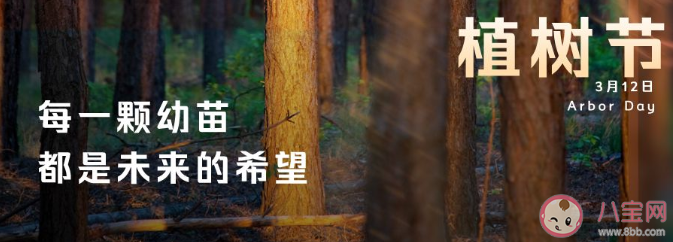 2021植树节文案怎么写 植树节文案示例句子分享