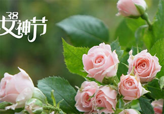 2021妇女节给老婆的感谢语情话说说 2021三八妇女节送老婆的祝福语句子
