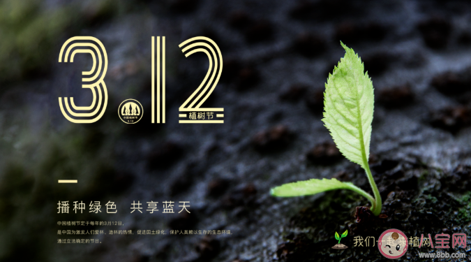 2021幼儿园小班植树节活动教案范文 植树节主题活动方案两篇