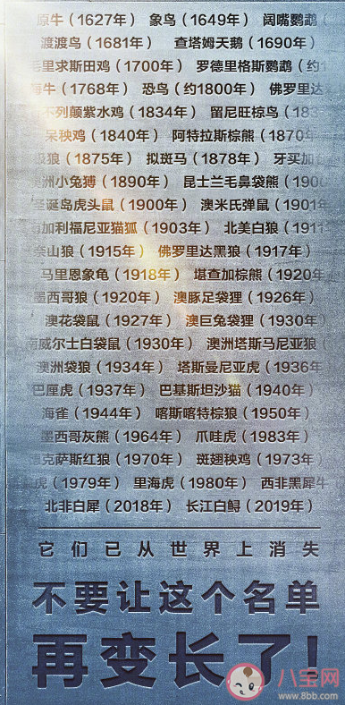全球已灭绝野生动物盘点 世界野生动植物保护宣传语口号