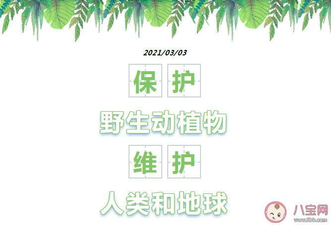 世界野生动植物日倡议书美篇 关于保护世界野生动植物日倡议书