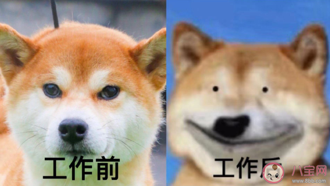 工作太累会变丑吗 上班容易心累怎么调节