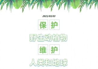 世界野生动植物日倡议书美篇 关于保护世界野生动植物日倡议书