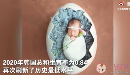 韩国或成世界上首个消失的国家是怎么回事 生育率逐年降低有哪些影响