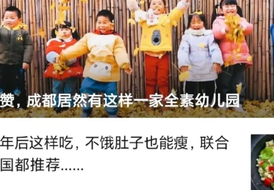 全素幼儿园真的健康吗 全素饮食方式对孩子好吗