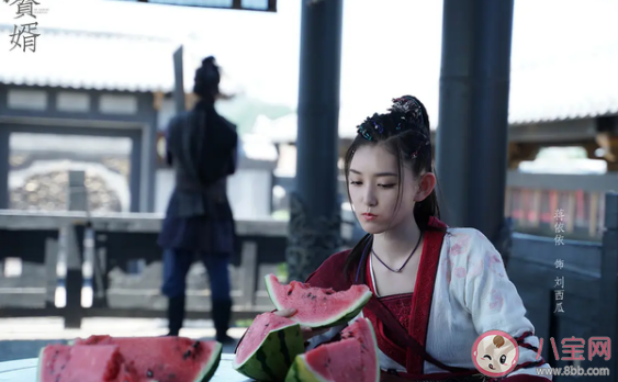 赘婿刘西瓜最后结局是什么 刘西瓜和宁毅在一起了吗