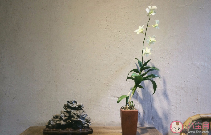 温柔到骨子里无关风月的干净文案 无关爱情的好听美好句子