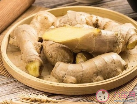 惊蛰节气吃什么食物养生 惊蛰养生食谱推荐