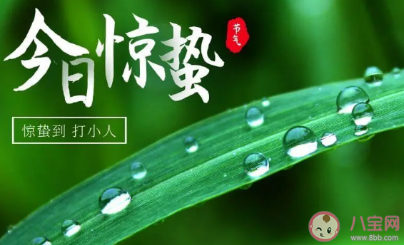 2021惊蛰节气简短文案句子 关于惊蛰的简短说说