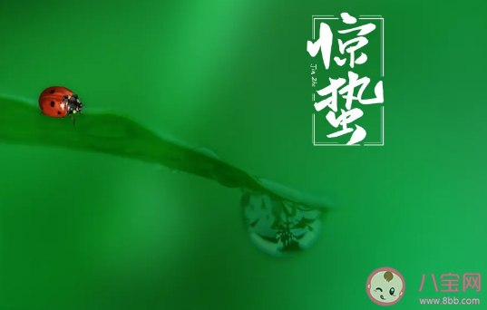 2021惊蛰节气简短文案句子 关于惊蛰的简短说说