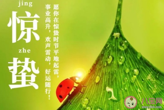 2021惊蛰节气朋友圈祝福语 惊蛰快乐说说句子