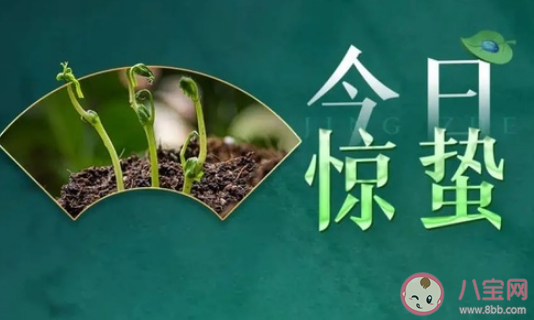2021惊蛰节气朋友圈祝福语 惊蛰快乐说说句子