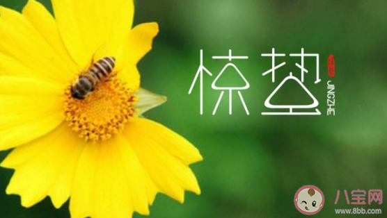 惊蛰节气快乐的简短祝福语 关于惊蛰的祝福短句