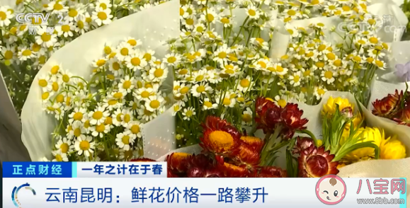 为什么鲜花涨价近4倍 2021年鲜花涨价的原因