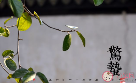 惊蛰吃蛰食是什么意思 惊蛰时节吃什么