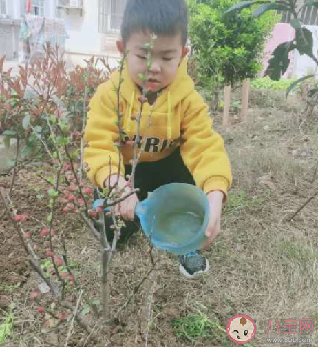 幼儿园植树节种树的活动报道美篇2021 幼儿园组织小朋友种树的活动稿件2021