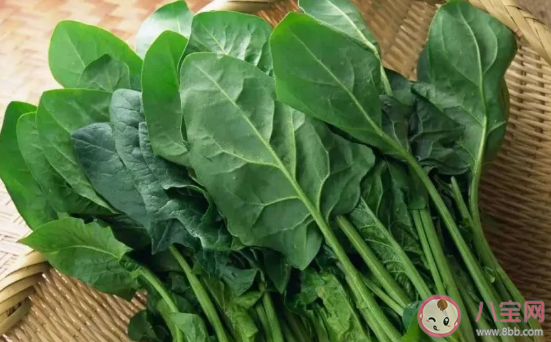 惊蛰当天吃什么好 适合惊蛰最养生的食物推荐