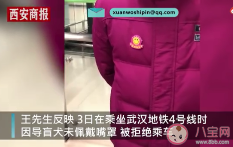 导盲犬使用公共交通该不该戴嘴罩 给导盲犬戴嘴罩会有什么影响