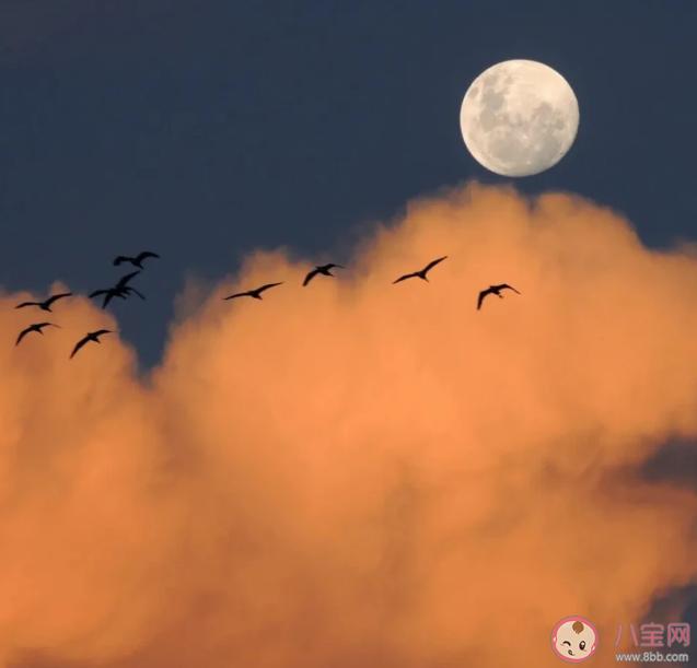 终生都将忠于自己的文案句子 终生忠于自己的朋友圈说说大全