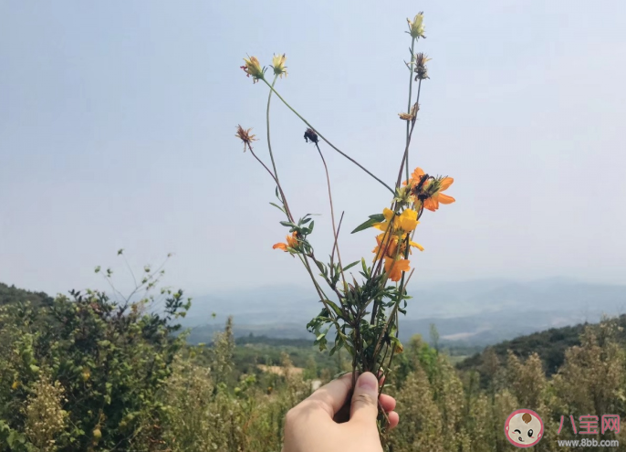终生都将忠于自己的文案句子 终生忠于自己的朋友圈说说大全