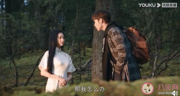 秦放是白英的后代吗 秦放和司藤有血缘关系吗