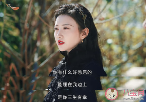 《司藤》经典台词句子大全 《司藤》台词文案语录摘抄