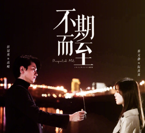 电视剧《不期而至》讲的是什么 彭冠英蔡文静再次合作了吗