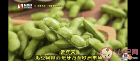 中国毛豆风靡西班牙是什么原因 毛豆吃了有什么好处