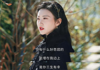 《司藤》经典台词句子大全 《司藤》台词文案语录摘抄