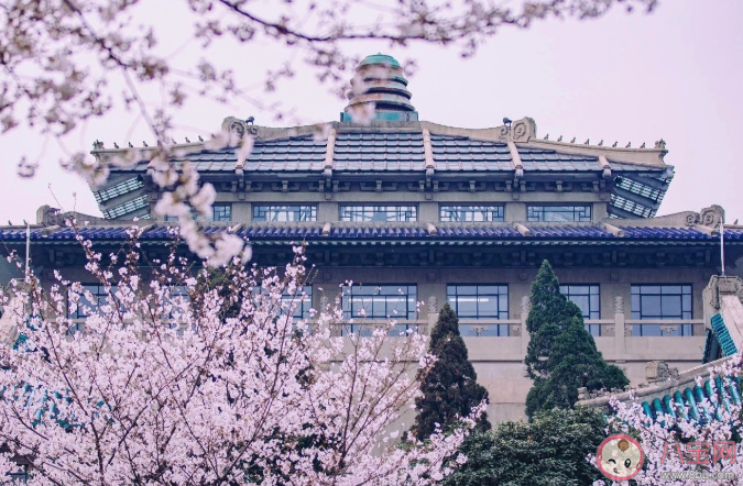 2021年春天有哪些旅游的好地方 值得春天游玩的地点推荐