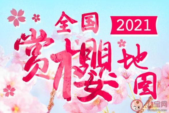 2021全国赏樱地图出炉 十五大热门赏樱地花期汇总