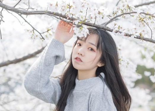赏樱穿什么颜色衣服好看 拍樱花适宜穿的衣服推荐