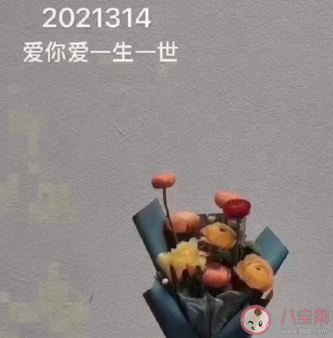 2021314文案图片说说大全 2021314朋友圈带字图片说说