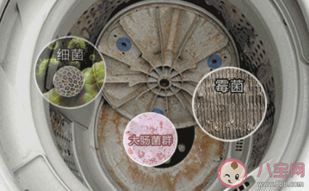 蚂蚁庄园:家中的洗衣机需要定期清洗吗 3月14日答案