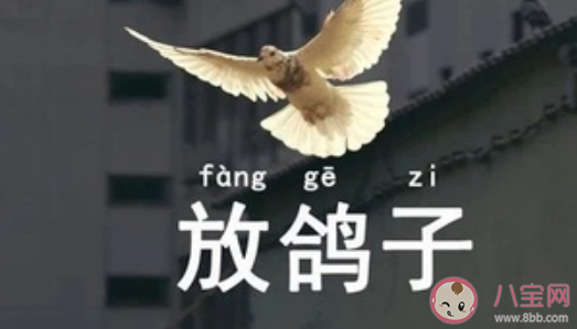 爽约为啥叫放鸽子 蚂蚁庄园正确答案