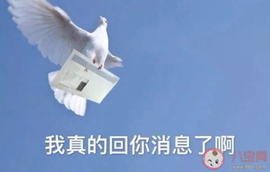 爽约为啥叫放鸽子 蚂蚁庄园正确答案