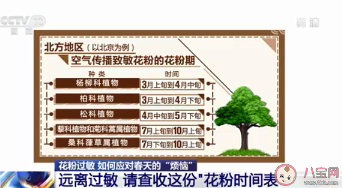 2021南北方花粉时间表 外出怎么预防花粉过敏