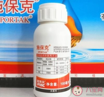 果农称从来不吃泡药沃柑是怎么回事 沃柑浸抑菌药后直接上市是真的吗