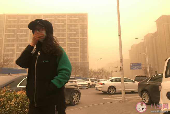 沙尘暴天气戴什么口罩有用 防护口罩如何挑选 沙尘暴天气戴什么口罩有用 防护口罩如何挑选