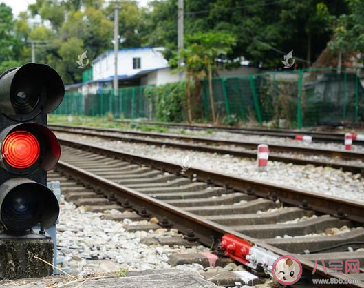 铁路绿色信号灯表示这段轨道怎样 蚂蚁庄园3月17日答案