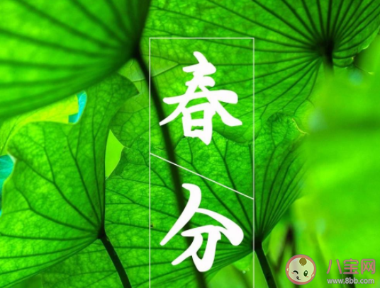 2021春分节气经典顺口溜说说句子 2021春分节气好玩的谚语俗语大全