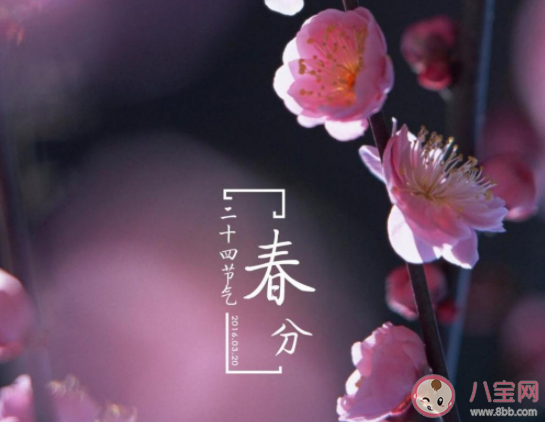 2021春分节气经典顺口溜说说句子 2021春分节气好玩的谚语俗语大全