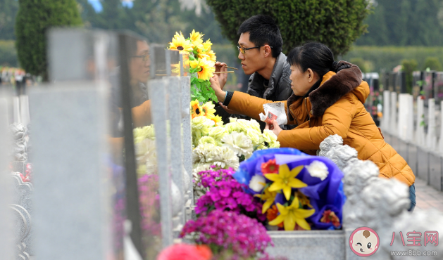2021年清明节可以扫墓吗 清明节扫墓都有哪些忌讳 2021年清明节可以扫墓吗 清明节扫墓都有哪些忌讳