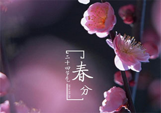 2021春分节气经典顺口溜说说句子 2021春分节气好玩的谚语俗语大全
