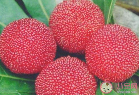 清洗杨梅时掉色一定是添加人工色素引起的吗 蚂蚁庄园3月18日答案 清洗杨梅时掉色一定是添加人工色素引起的吗 蚂蚁庄园3月18日答案