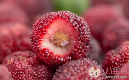 蚂蚁庄园:杨梅掉色是添加了人工色素吗 3月18日答案